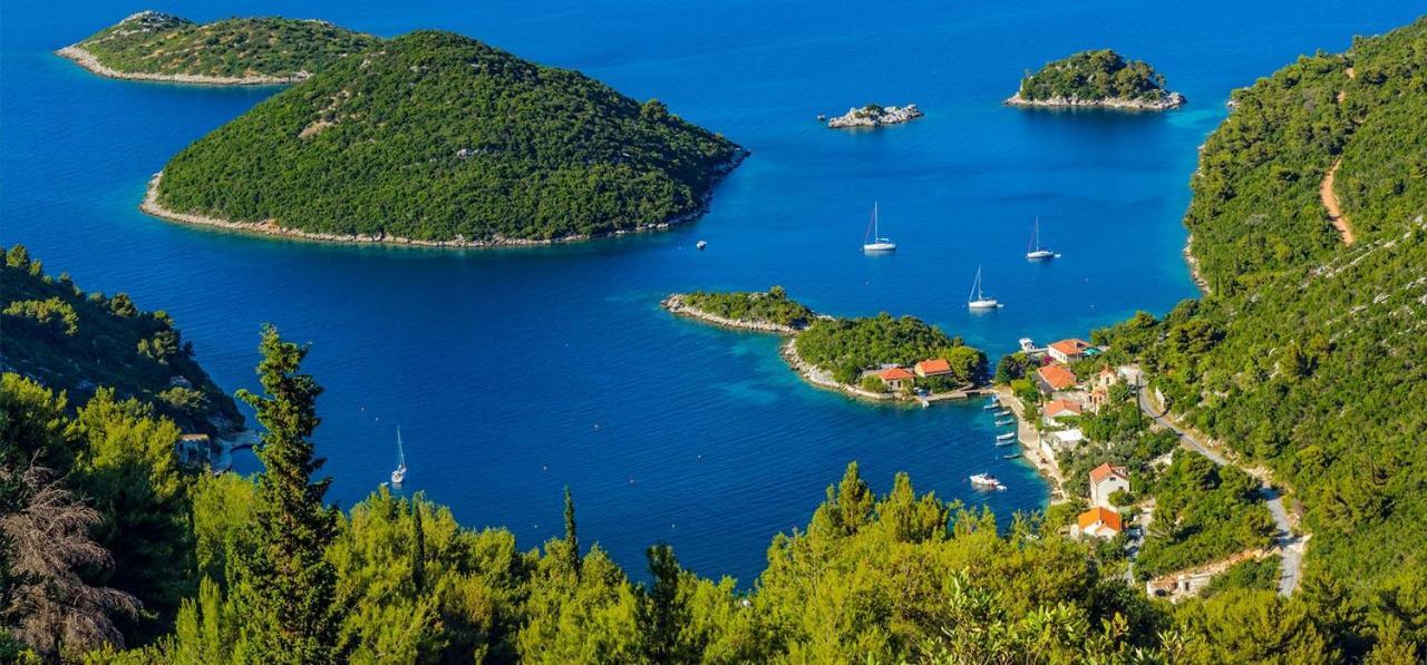 Vila Roza Prožura Εξωτερικό φωτογραφία